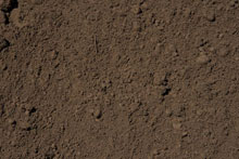 screened-top-soil_th